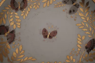 Biedermeier Butterfly Cup and Saucer, view 4 of 6